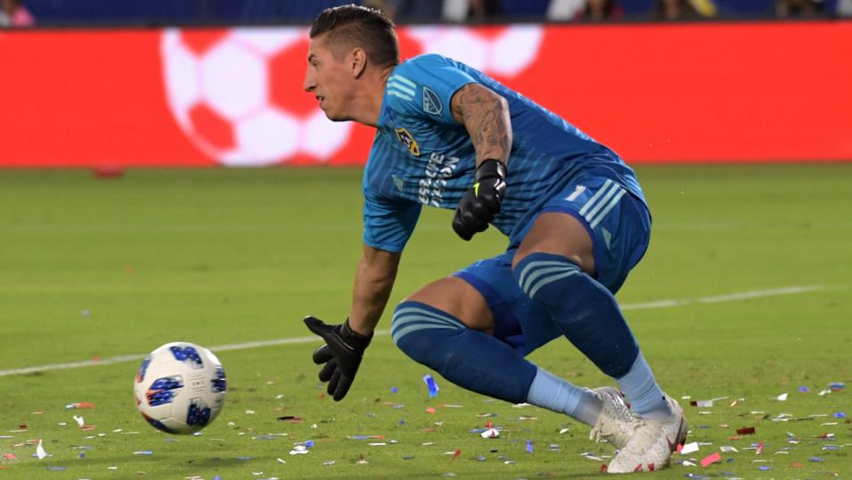 David Bingham LA Galaxy goalkeeper